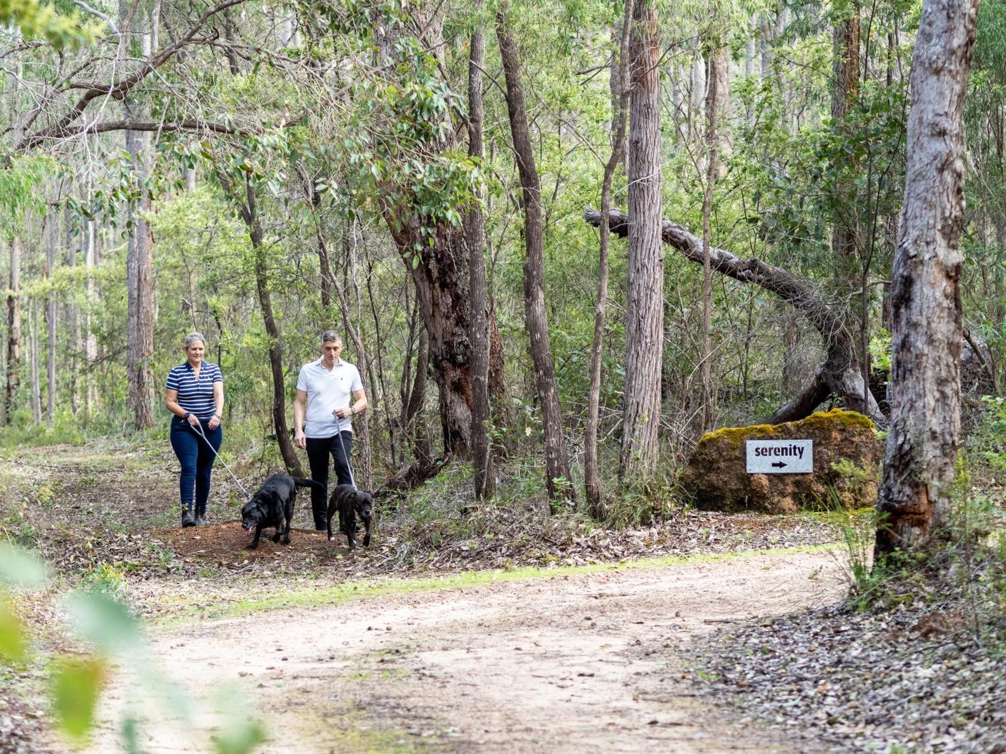Jarrah Grove Forest Retreat - Adults Only Luxury Chalet Rosa Glen Bagian luar foto