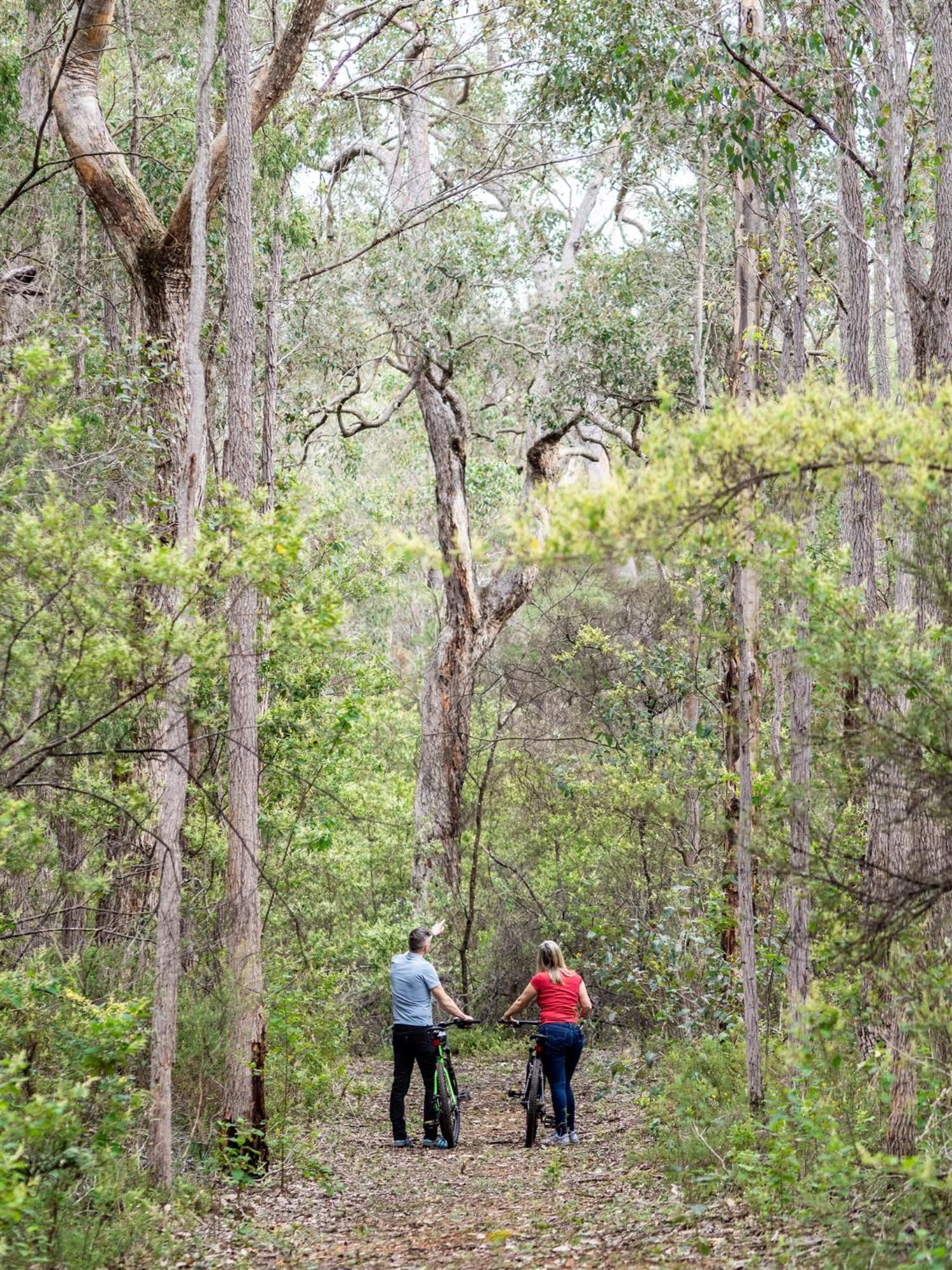 Jarrah Grove Forest Retreat - Adults Only Luxury Chalet Rosa Glen Bagian luar foto